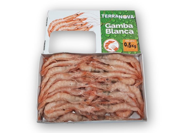 GAMBA BL. EST/500GR (45/60) - Aqualund